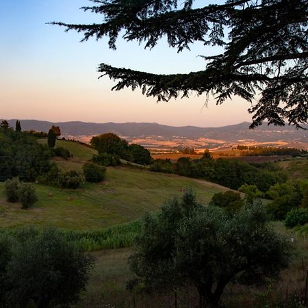 Agriturismo Terre Della Rinascita Castelnuovo della Misericordia Екстер'єр фото