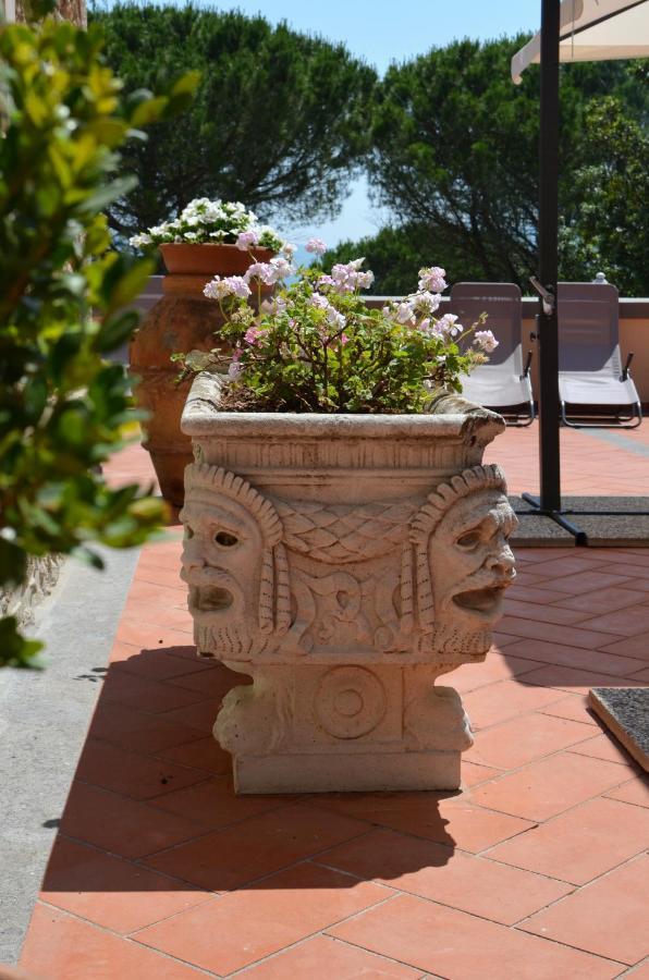 Agriturismo Terre Della Rinascita Castelnuovo della Misericordia Екстер'єр фото