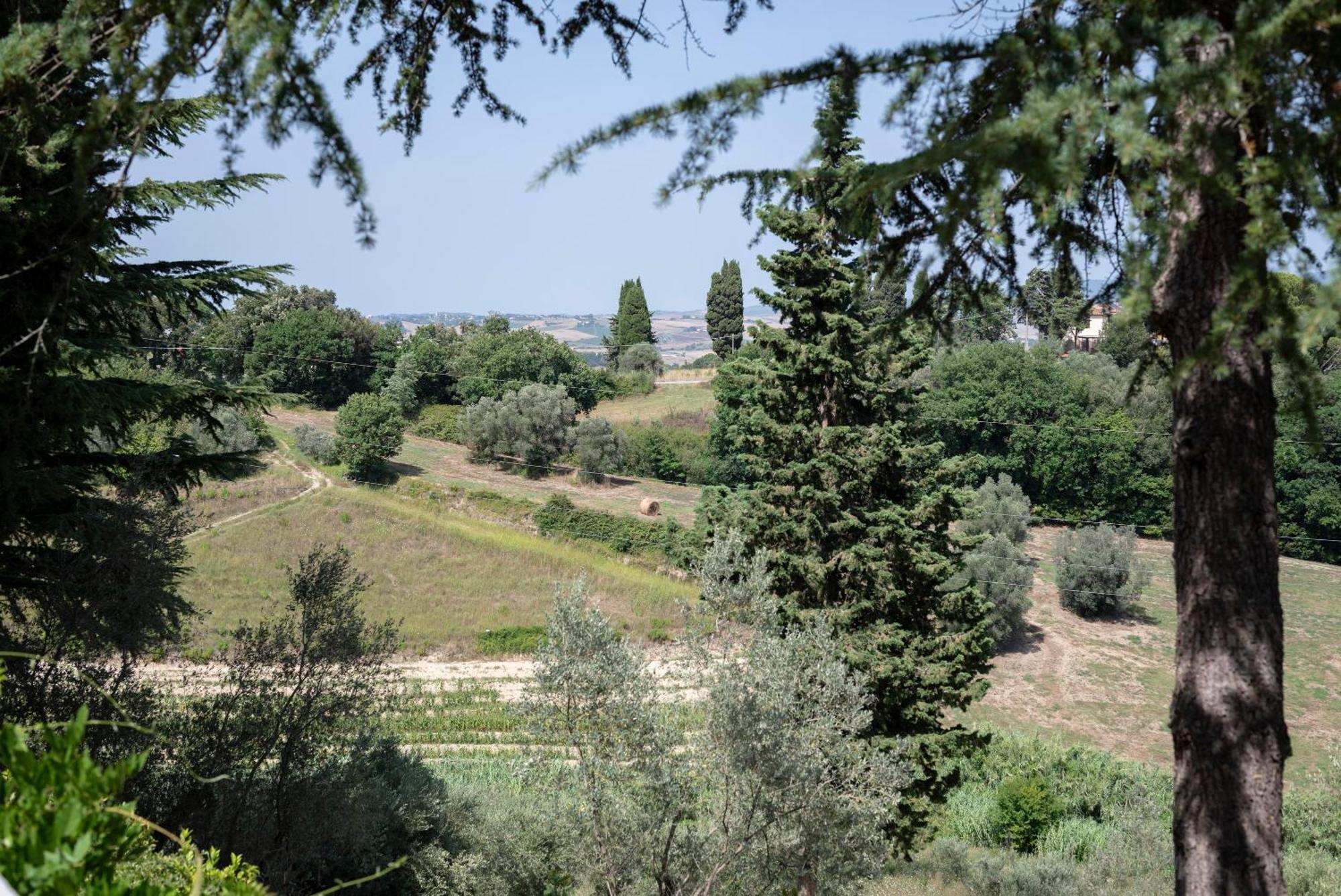Agriturismo Terre Della Rinascita Castelnuovo della Misericordia Екстер'єр фото