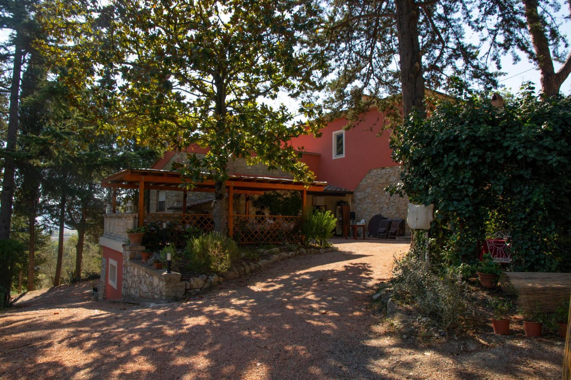 Agriturismo Terre Della Rinascita Castelnuovo della Misericordia Екстер'єр фото
