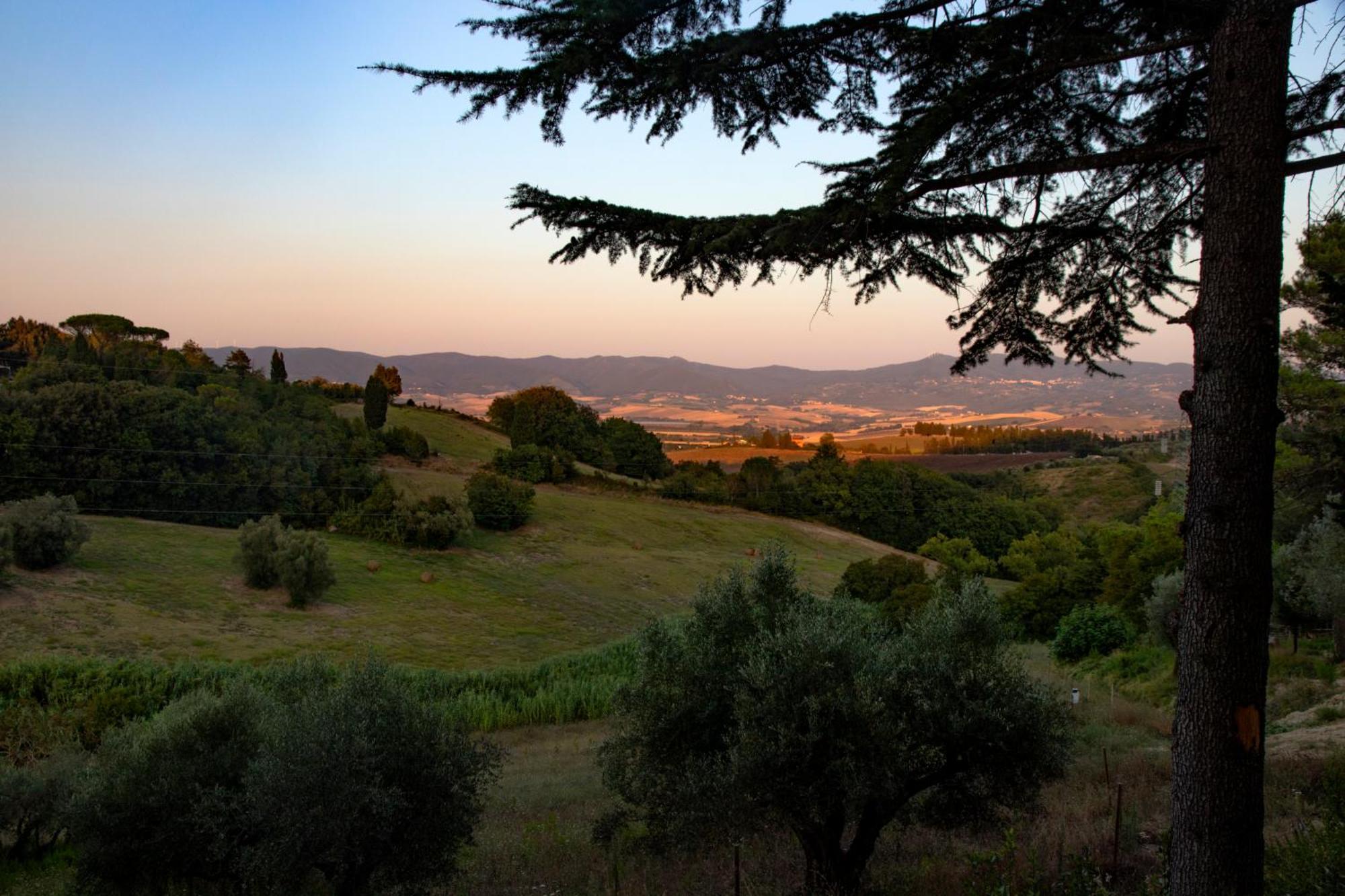Agriturismo Terre Della Rinascita Castelnuovo della Misericordia Екстер'єр фото