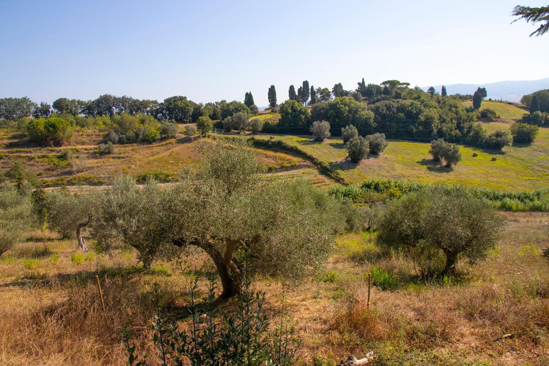 Agriturismo Terre Della Rinascita Castelnuovo della Misericordia Екстер'єр фото