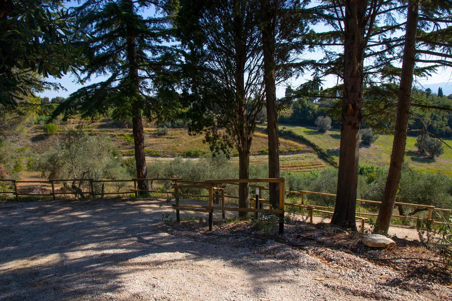 Agriturismo Terre Della Rinascita Castelnuovo della Misericordia Екстер'єр фото