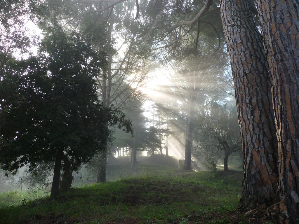 Agriturismo Terre Della Rinascita Castelnuovo della Misericordia Екстер'єр фото